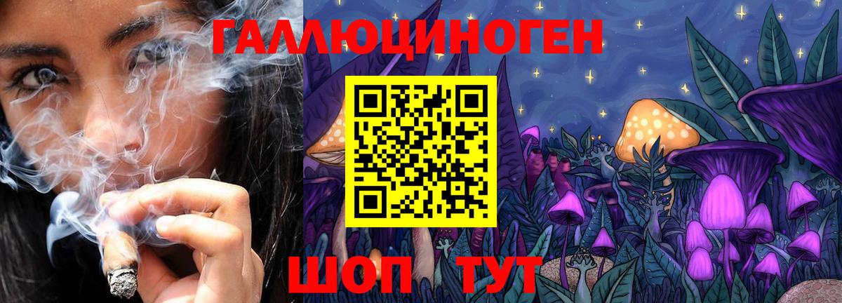 Псилоцибиновые грибы Cubensis Еманжелинск