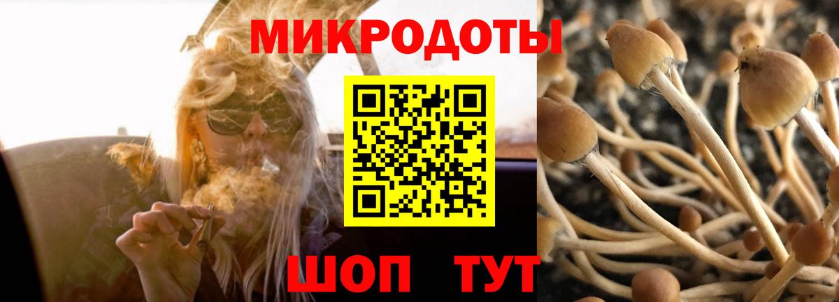 Еманжелинск  Галлюциногенные грибы Cubensis  Вход с VPN 